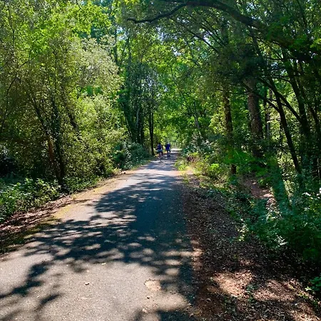 Chez Mariana 아파트 Arvert